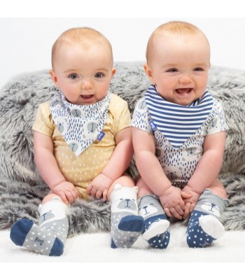 Kite Clothing 2 pack Beary Socks (Grey/Blue)